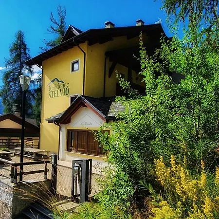 Stelviostay Stelvio