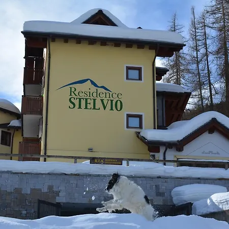 Stelviostay Stelvio